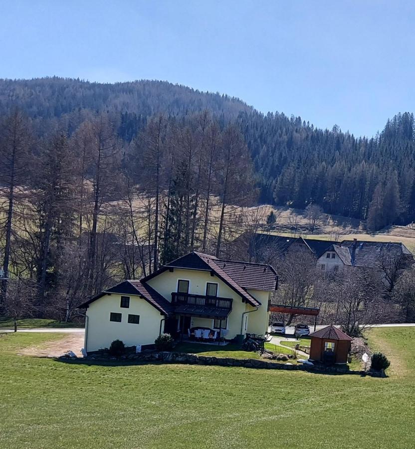 Apartment Greimblick *