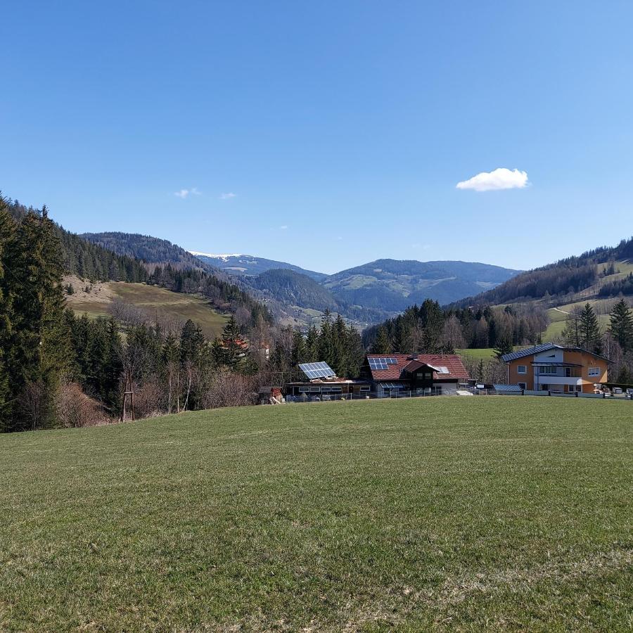 Apartment Greimblick *